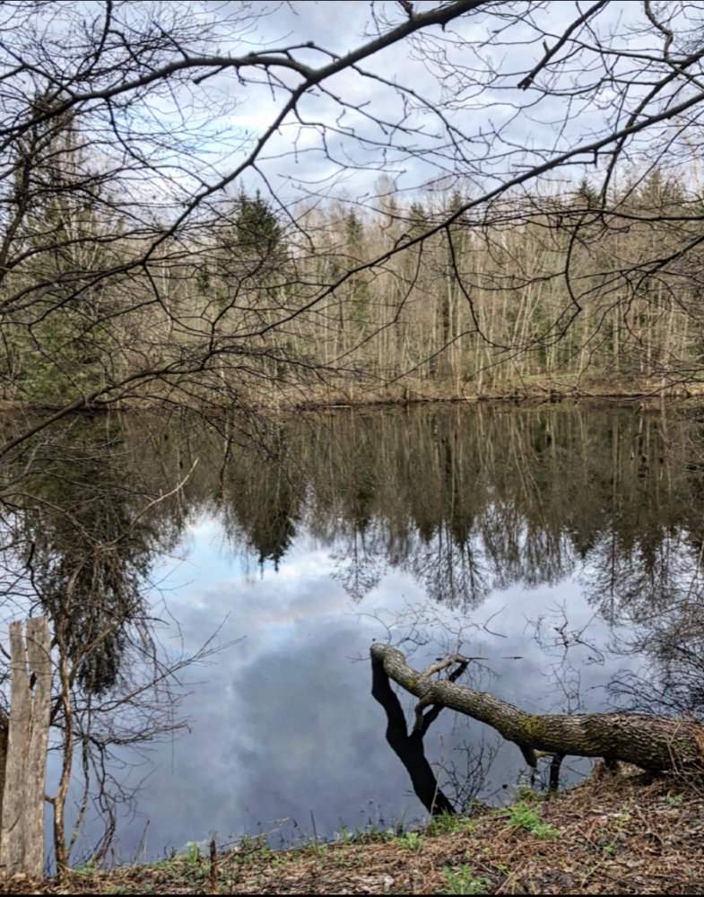 На местах боев 8-й дивизии