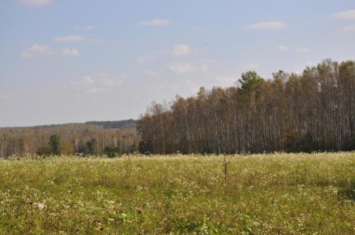 Выезд Управы Пресненского района по местам боёв ополченцев Москвы
