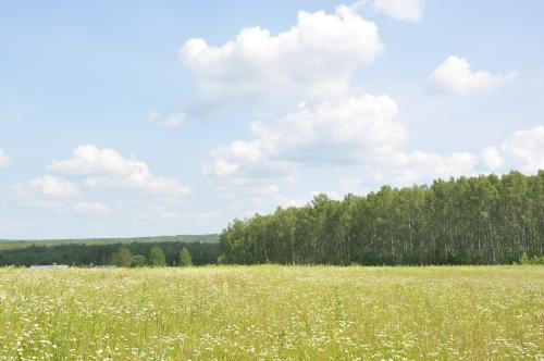 Делегация МГУ в Смоленскую область