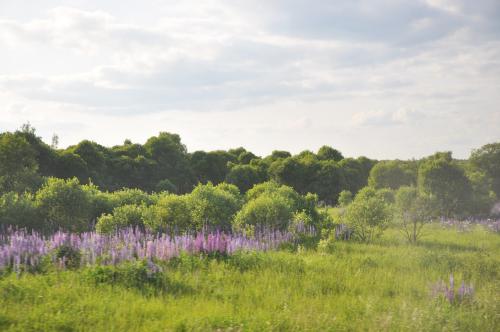 Делегация МГУ в Смоленскую область