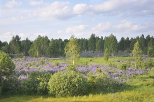 Делегация МГУ в Смоленскую область