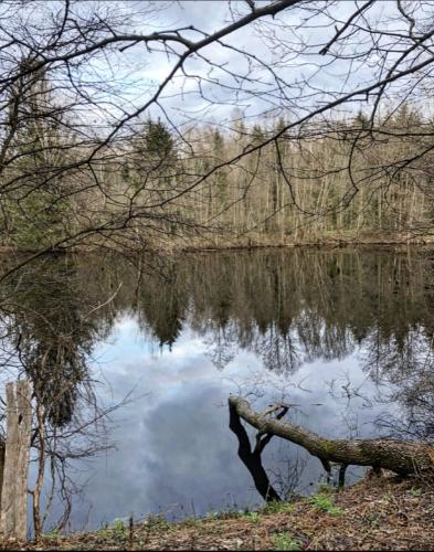 1626183108 fullsizerender-4