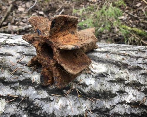 1626183125 fullsizerender-3