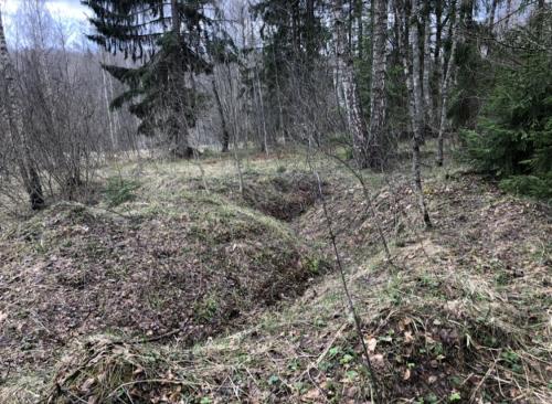 1626183139 fullsizerender-1