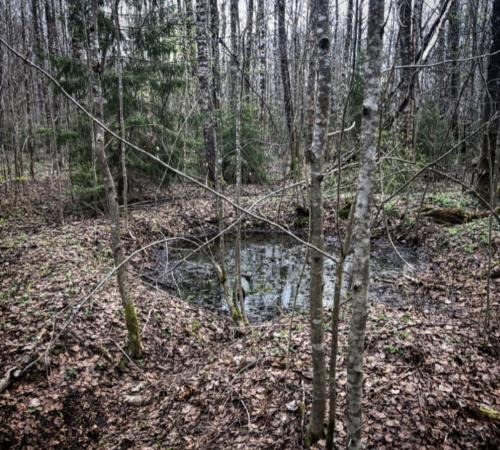 1626183185 fullsizerender-2