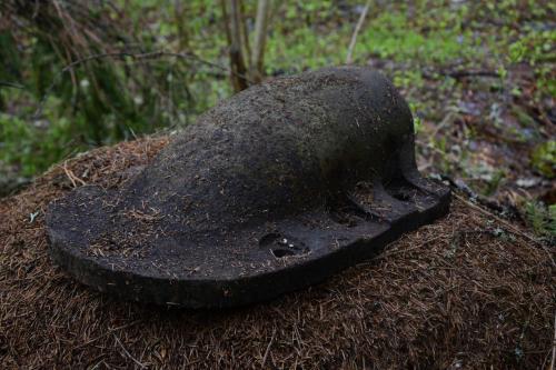 Экспедиция "Вымпел", 2024