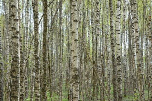 Экспедиция "Вымпел", 2024