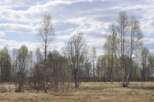 Экспедиция "Вымпел", 2023