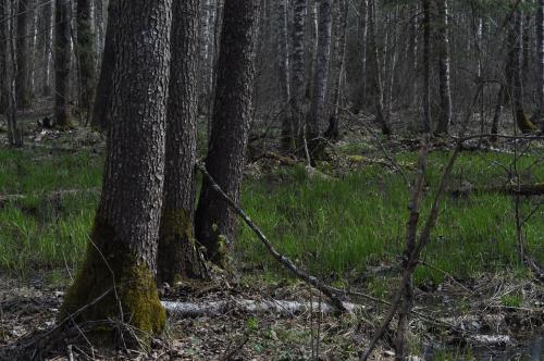 Экспедиция "Вымпел", 2023