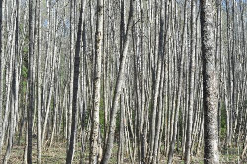 Экспедиция "Вымпел", 2023
