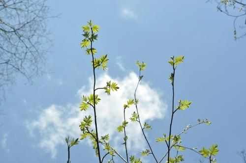 Экспедиция "Вымпел", 2023