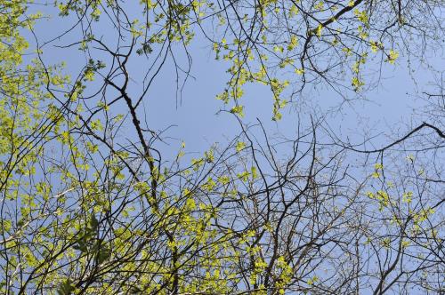 Экспедиция "Вымпел", 2023